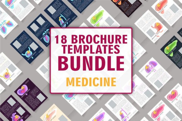 Human Organs Brochure Design Bundle Review